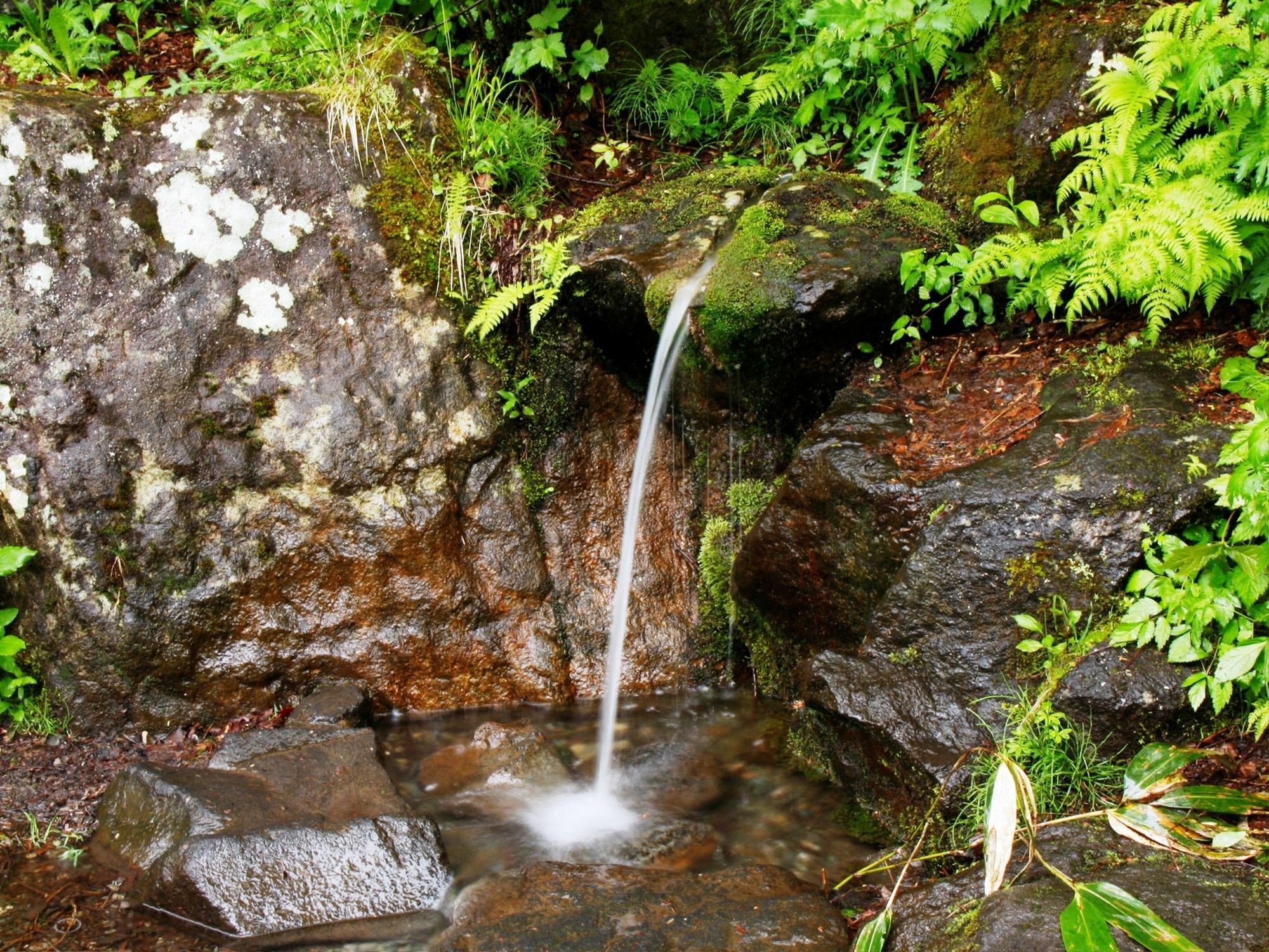 Shiga Grand Hotel Yamanouchi  Luaran gambar